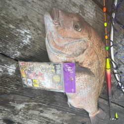 少人数貸し切りで釣堀紀州🎣