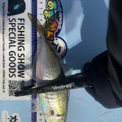 バチコンアジング