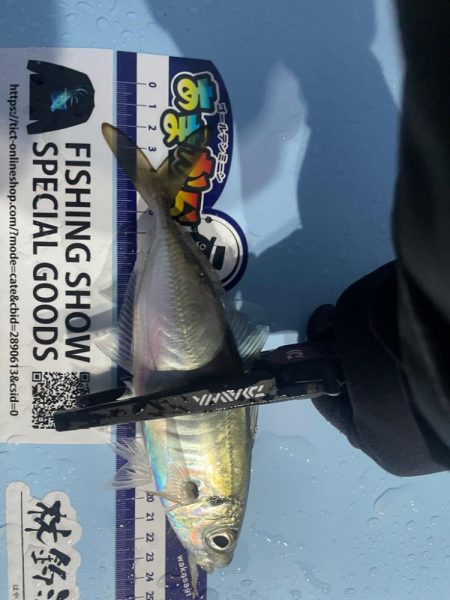 バチコンアジング