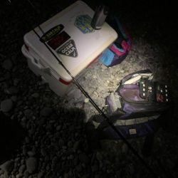 フィッシング大阪帰りのフロートアジング笑