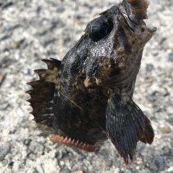 穴釣り最後に！