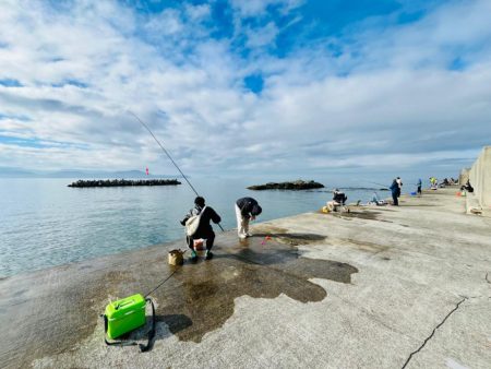 田ノ浦漁港 サビキ釣り