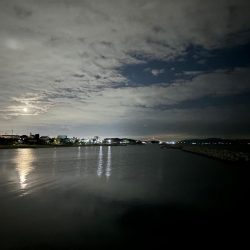 メバル⑧&タケノコメバル①