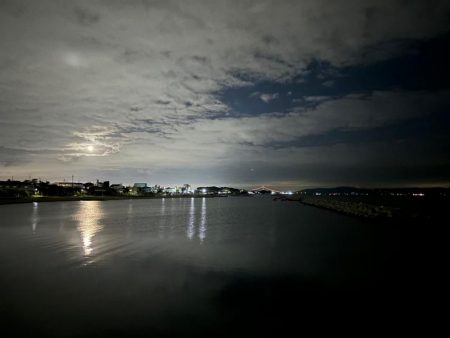 メバル⑧&タケノコメバル①