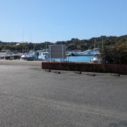 さすがに釣れすぎ