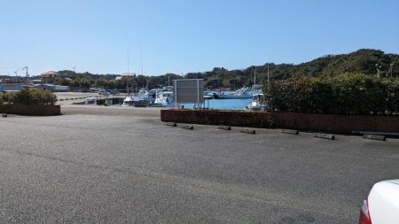 さすがに釣れすぎ