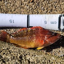 久しぶりの投稿