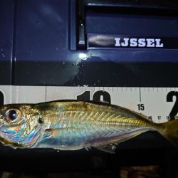 鼻水ジュルジュル罰ゲームアジング