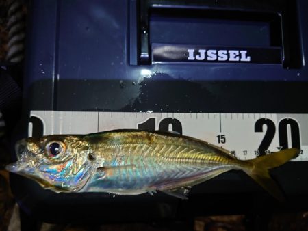 鼻水ジュルジュル罰ゲームアジング