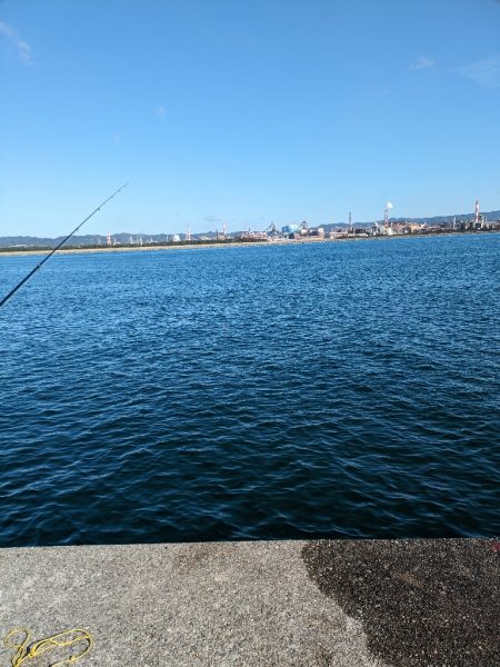 鯵大爆発釣果!!