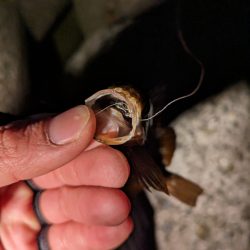 風おさまって…