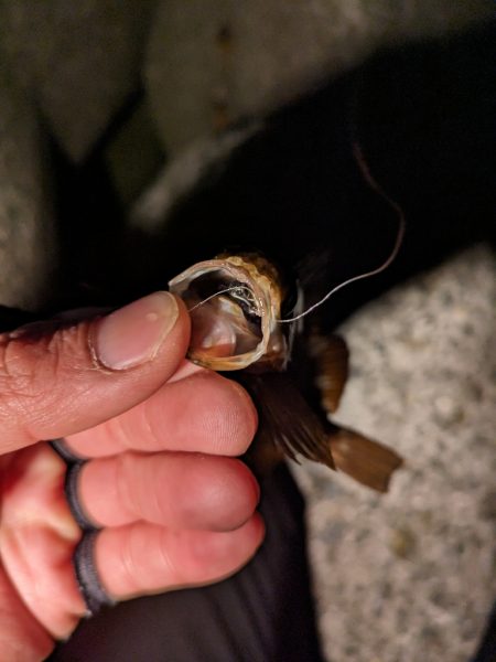 風おさまって…