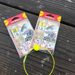 サーモンコーナー