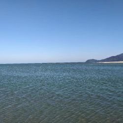 由良川河口にて