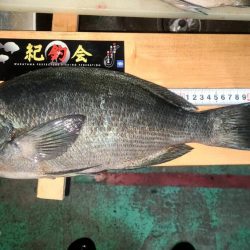 和歌山市江(吉丸渡船)でグレ釣り(1日目)