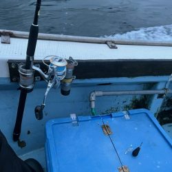 今年も関門アラカブ狙って行って来ました