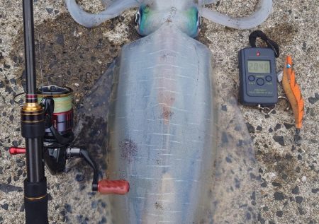 バレンタインモンスター降臨IN対馬