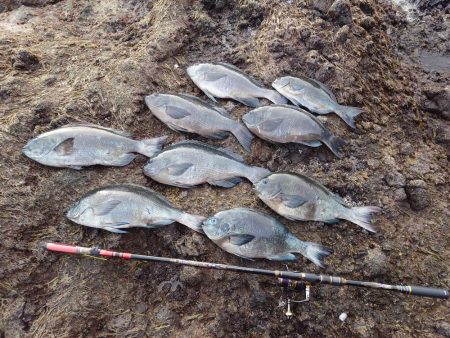 念願の50cmオーバー