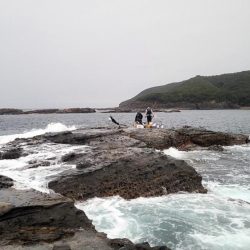 和歌山市江（吉丸渡船）でグレ釣り