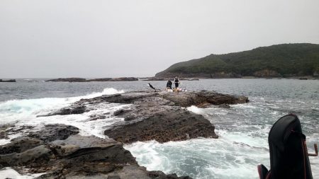 和歌山市江（吉丸渡船）でグレ釣り