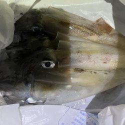 邪道エギでエギング