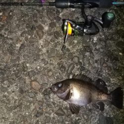 有田でポイントに入れなかったので!