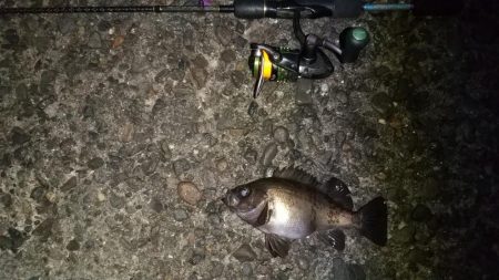 有田でポイントに入れなかったので!