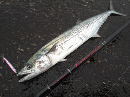 雨の合間の釣行