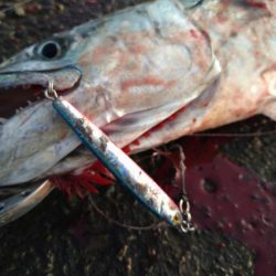 牙のある長いやつ