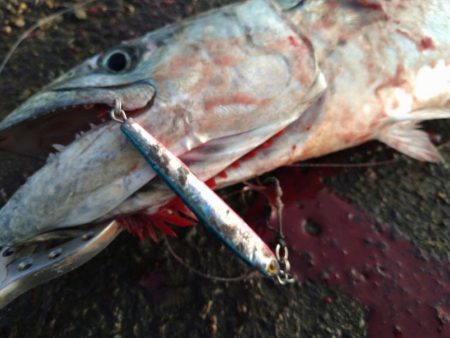 牙のある長いやつ