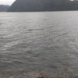 なんとかサゴシゲット