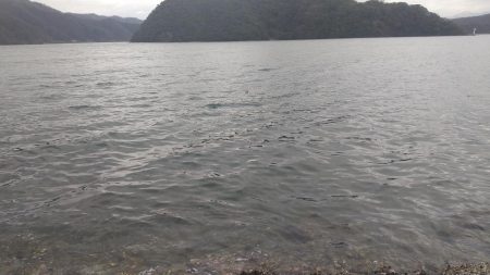 なんとかサゴシゲット