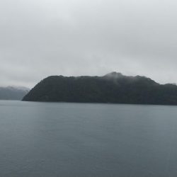 雨ときどきサゴシ