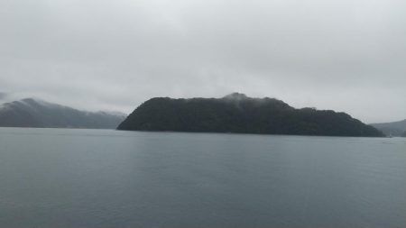 雨ときどきサゴシ