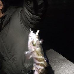 明石港東外港西防波堤灯台