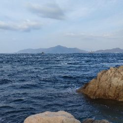 ショアジギング