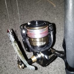 極小バイト1回のみ…