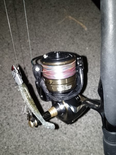 極小バイト1回のみ…