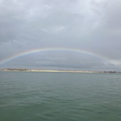 北山田初バス55cm