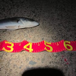 優等生サイレントアサシン