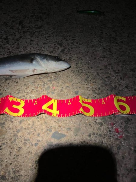 優等生サイレントアサシン