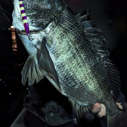 ボートチヌジギング