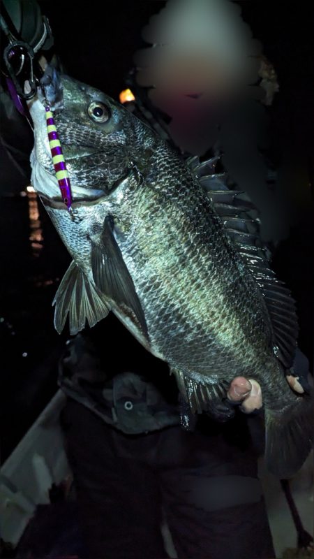 ボートチヌジギング