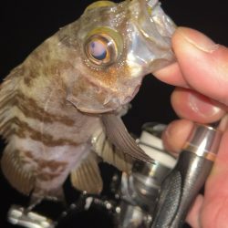 仕事終わりメバリング