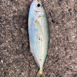 2024ライトゲーム第5戦