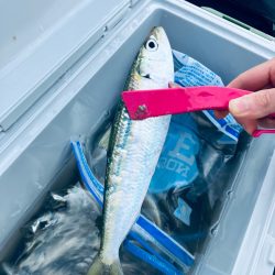 朝から人がたくさん