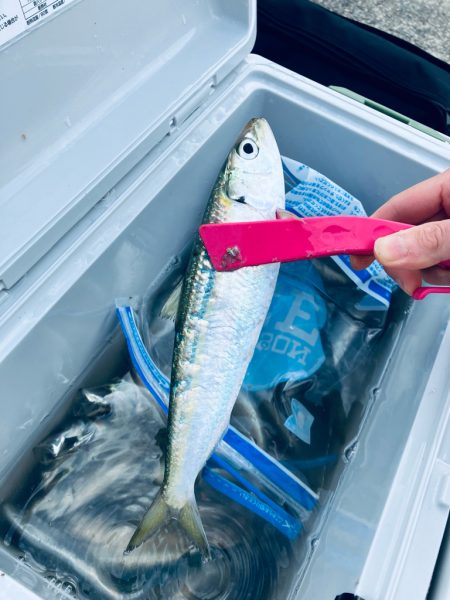 朝から人がたくさん