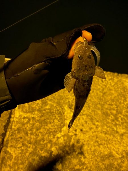 アジングランガン