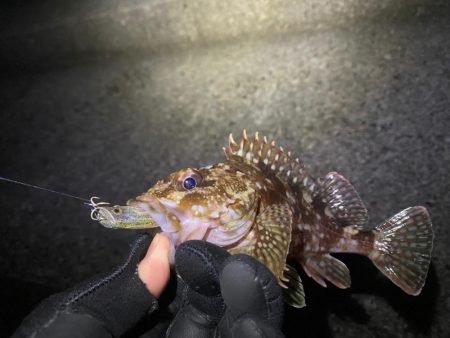 フロート、ライトプラッキング