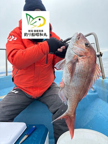新潟寝屋港の釣り船昭和丸　真鯛、甘鯛タイラバLJ便2月25日釣果情報